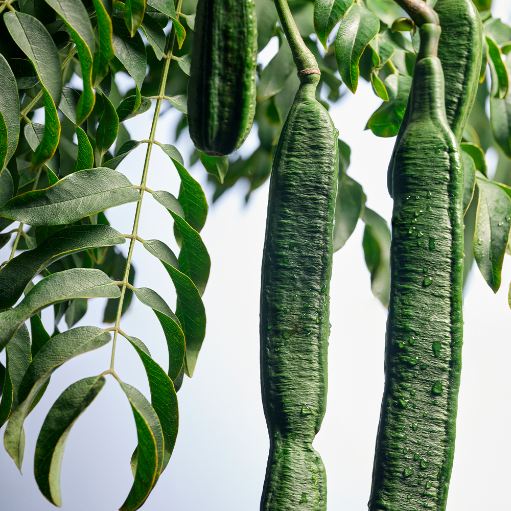 Anti Frizz Extending Mist