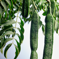 Anti Frizz Extending Mist